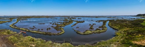 Preview: Aerial View of Esteiro da Tojeira