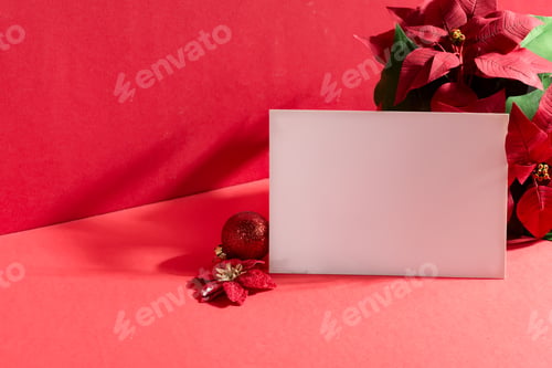 Preview: Greeting mock-up card with Christmas flower Poinsettias