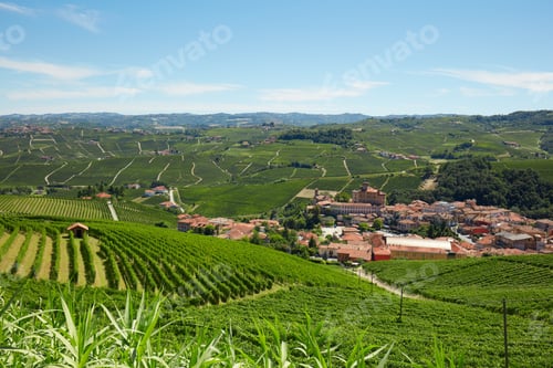 Preview: Barolo medieval town in Piedmont with vineyards, Italy