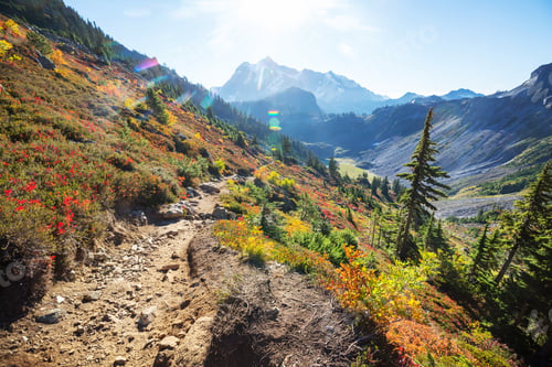 Preview: Mt Baker Area