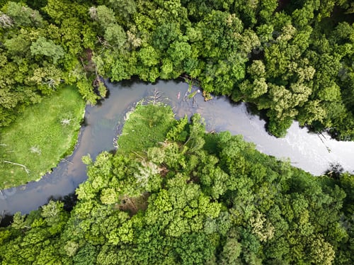 Preview: Sport in summer. Kayaking on river. Aerial view of Poland