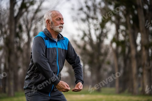 Preview: Tai chi exercise