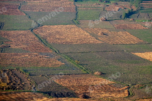 Preview: Farming field in the countryside