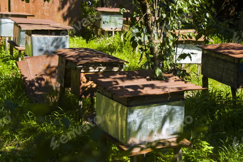 Visualização: Weathered old beehives on a village yard lawn in Racha, Georgia
