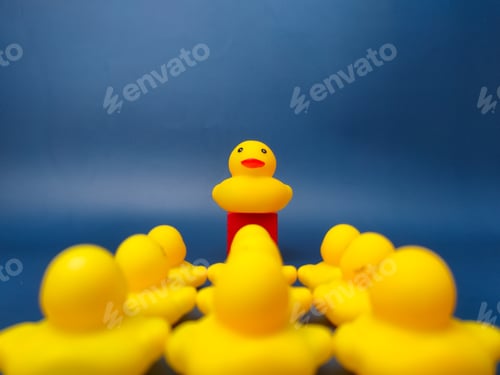 Preview: Group of toy ducks with leadder. Leadder and teamwork concept