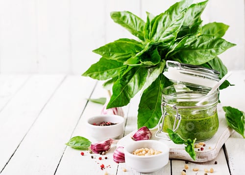 Preview: Fresh Pesto Ingredients with Basil Garlic and Pine Nuts