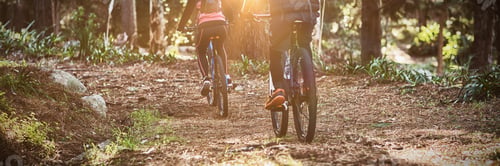 Preview: Rear view of biker couple cycling in countryside