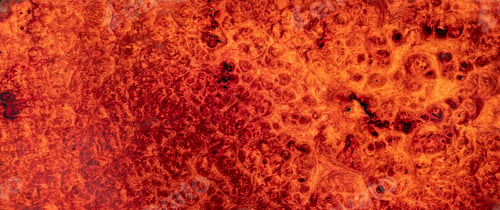 Preview: Natural Burma padauk burl wood striped is a wooden beautiful pattern for background