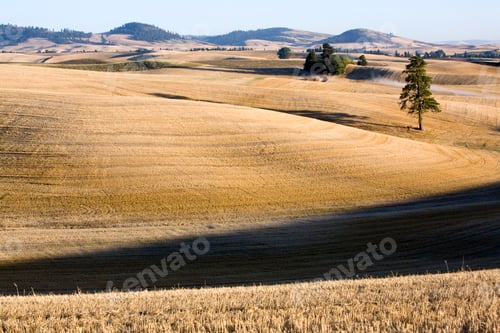 Preview: Undluating Farmland