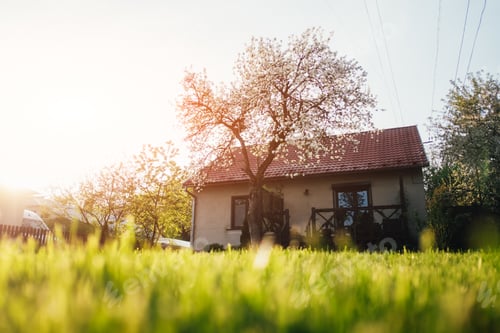Preview: Green lawn near house