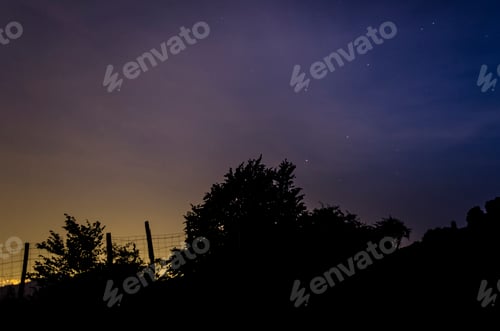 Preview: silhouette of trees at sunset with city in background