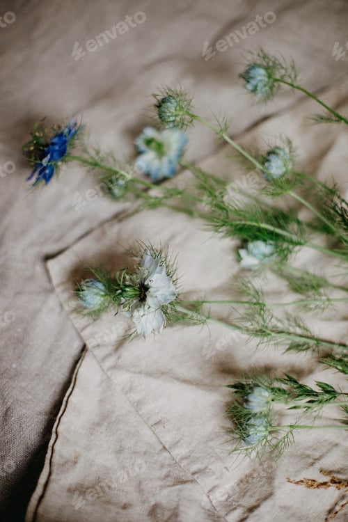 Preview: flower