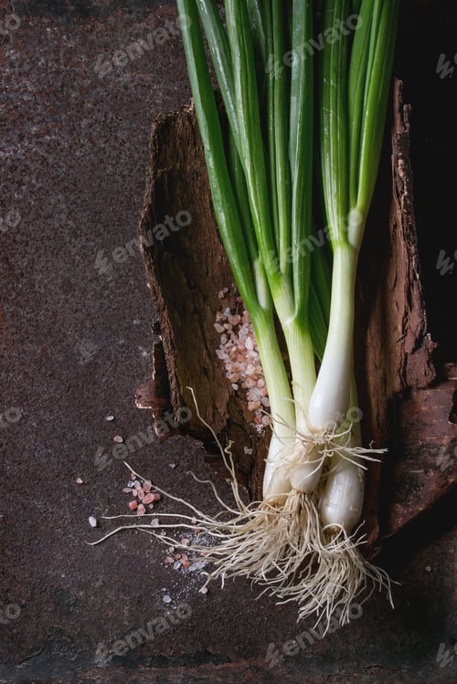 Preview: Fresh spring onion bundle