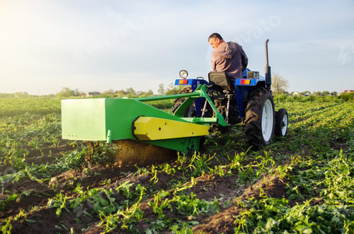 Preview: Farmer digs out a crop of potatoes with a digger.