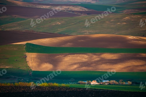 Preview: Rolling hills in spring