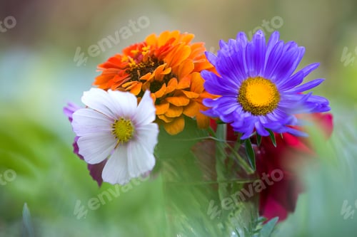 Preview: Close-up of beautiful autumn bright multicolored field flowers composition in transparent glass vase