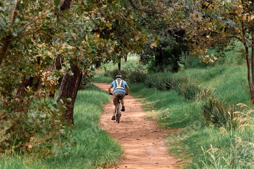 Preview: Senior cyclist rides down a path surrounded by lush greenery and trees
