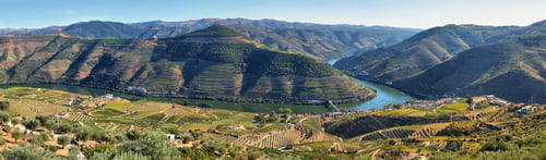 Preview: Amazing views of Douro vineyards from Casal de Loivos viewpoint, Portugal