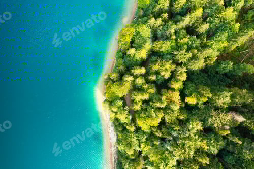 Preview: Aerial view of a river with turquoise water and pine trees on the shore