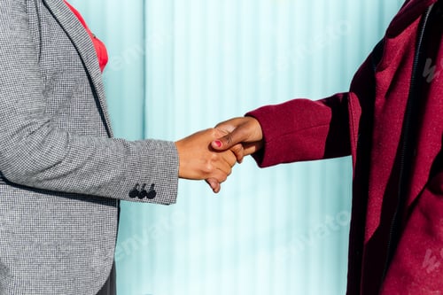 Vista previa: two multiethnic business women