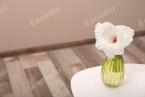 Preview: Vase with beautiful gladiolus flower on wooden table indoors