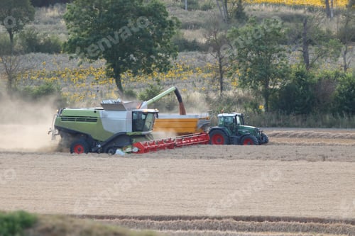 Preview: Harvest time