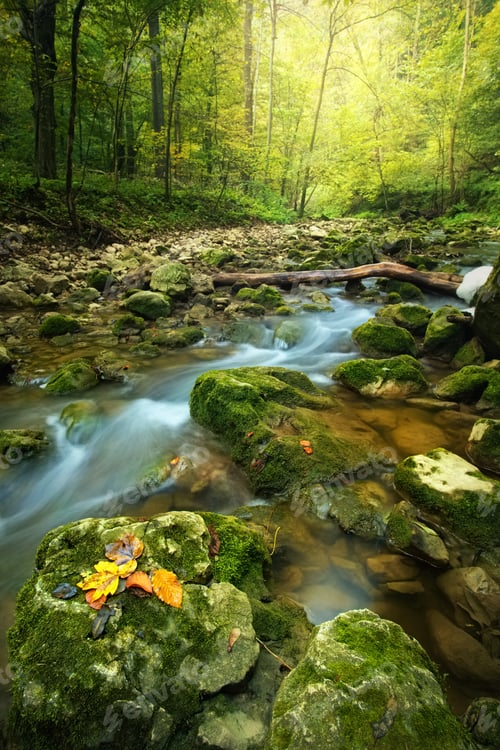 Preview: Flowing stream