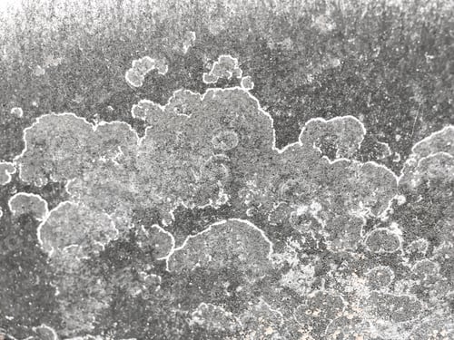 Preview: Old wall background