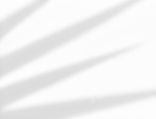 Preview: White wall with shadow of yucca leaves overlay.