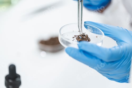 Preview: researcher working in laboratory for medicals science research using scientific equipment technology
