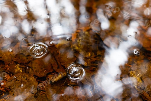 Preview: Rain background Water swirling on the shore puddle