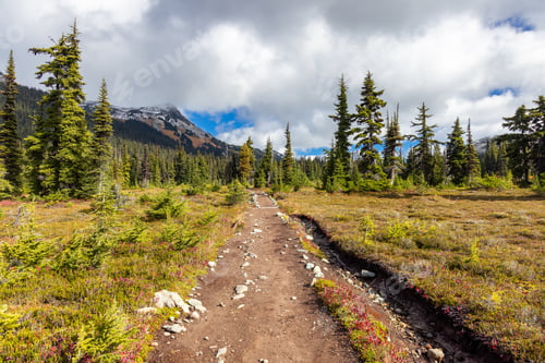 Preview: Hiking trail outdoors in Canadian nature