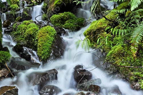 Preview: Cold Mountain Stream