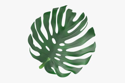 Preview: Monstera Deliciosa Leaf - Tropical Decor