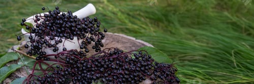 Preview: Elderberries for natural medicines in a mortar. Immunity