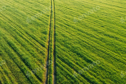 Preview: Aerial view of country road through green field rural landscape in summer. Top view of countryside
