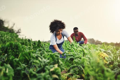 Preview: We cant wait to share our blessings with you