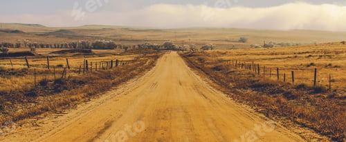 Preview: Foggy Countryside Road
