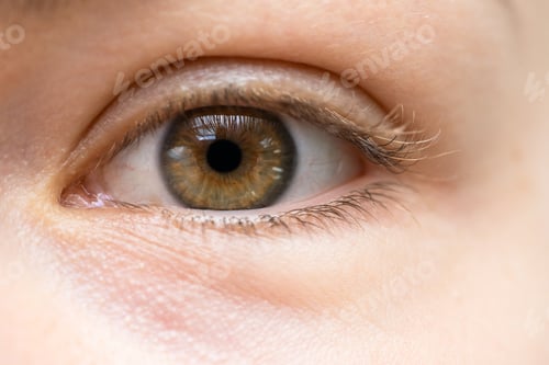 Preview: Closeup of female eye without makeup