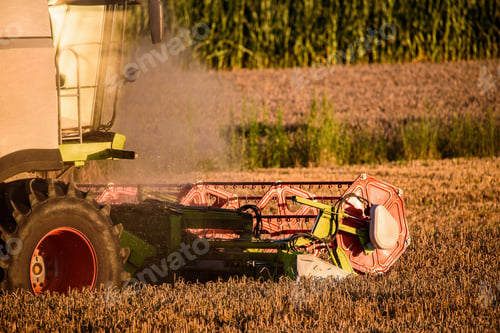 Preview: Harvesting wheat field with combine