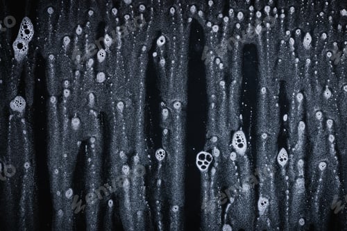 Preview: Drops- Liquid Foam. Shampoo Bubbles- Dish Soap. Fluid Aqua- Abstract Pattern Nature