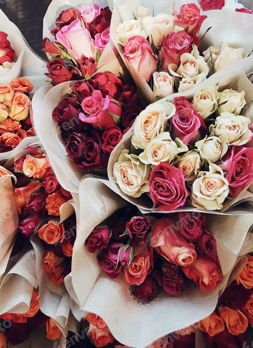 Preview: Multi colored roses wrapped and ready for gifting