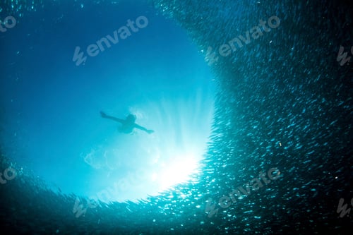 Preview: Young woman swimming with school of sardines, Moalboal, Cebu, Philippines