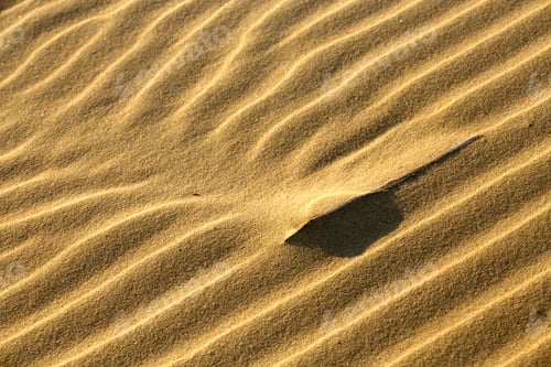 Preview: dune interference