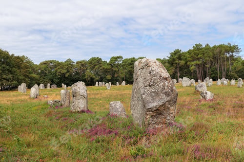 Preview: Alignment of Kerlescan, megalithic monuments in Carnac, Brittany, France