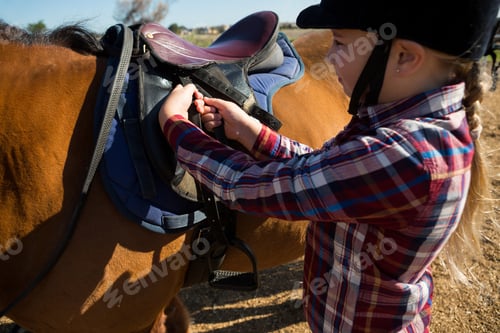 Preview: Close-up of girl adjusting saddle on horse