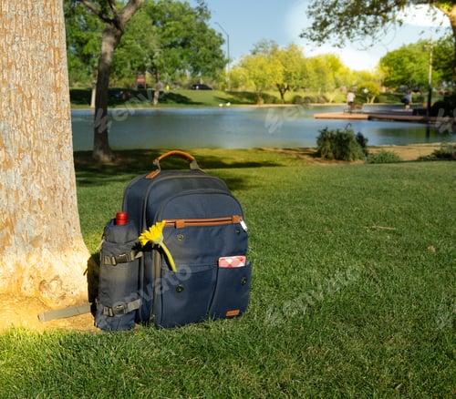 Preview: Picnic in a backpack by a tree in the park
