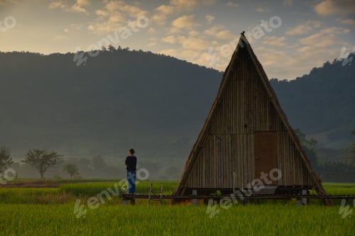 Preview: The green fields surrounding nature are very beautiful.