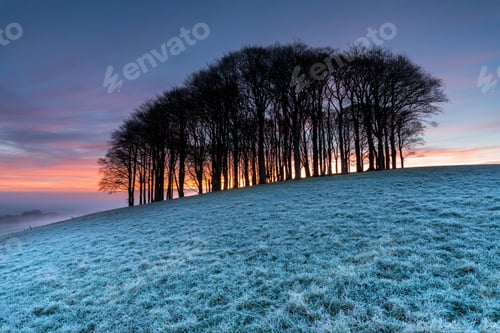 Preview: Winter Sunrise