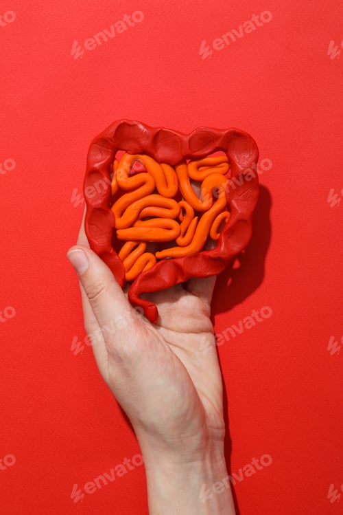 Preview: Concept of health care, stomach and intestinal problems